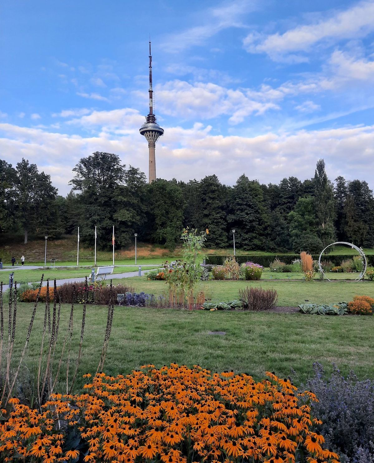 TV tower