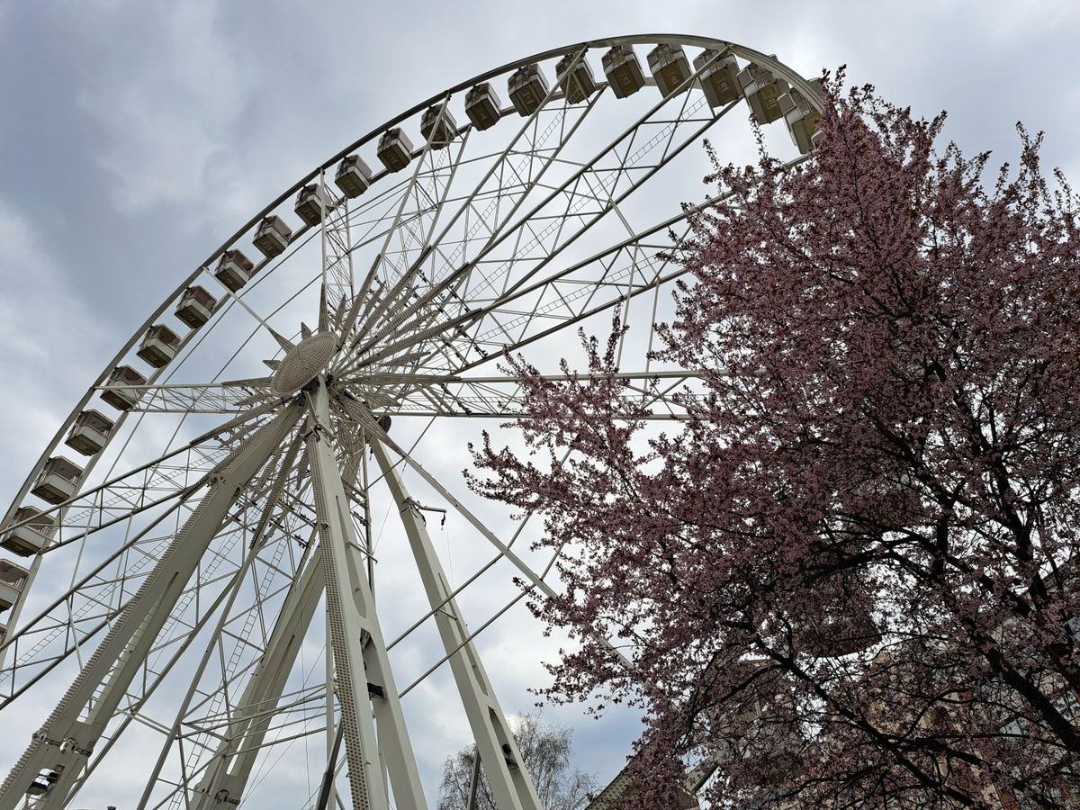 Ferris wheel