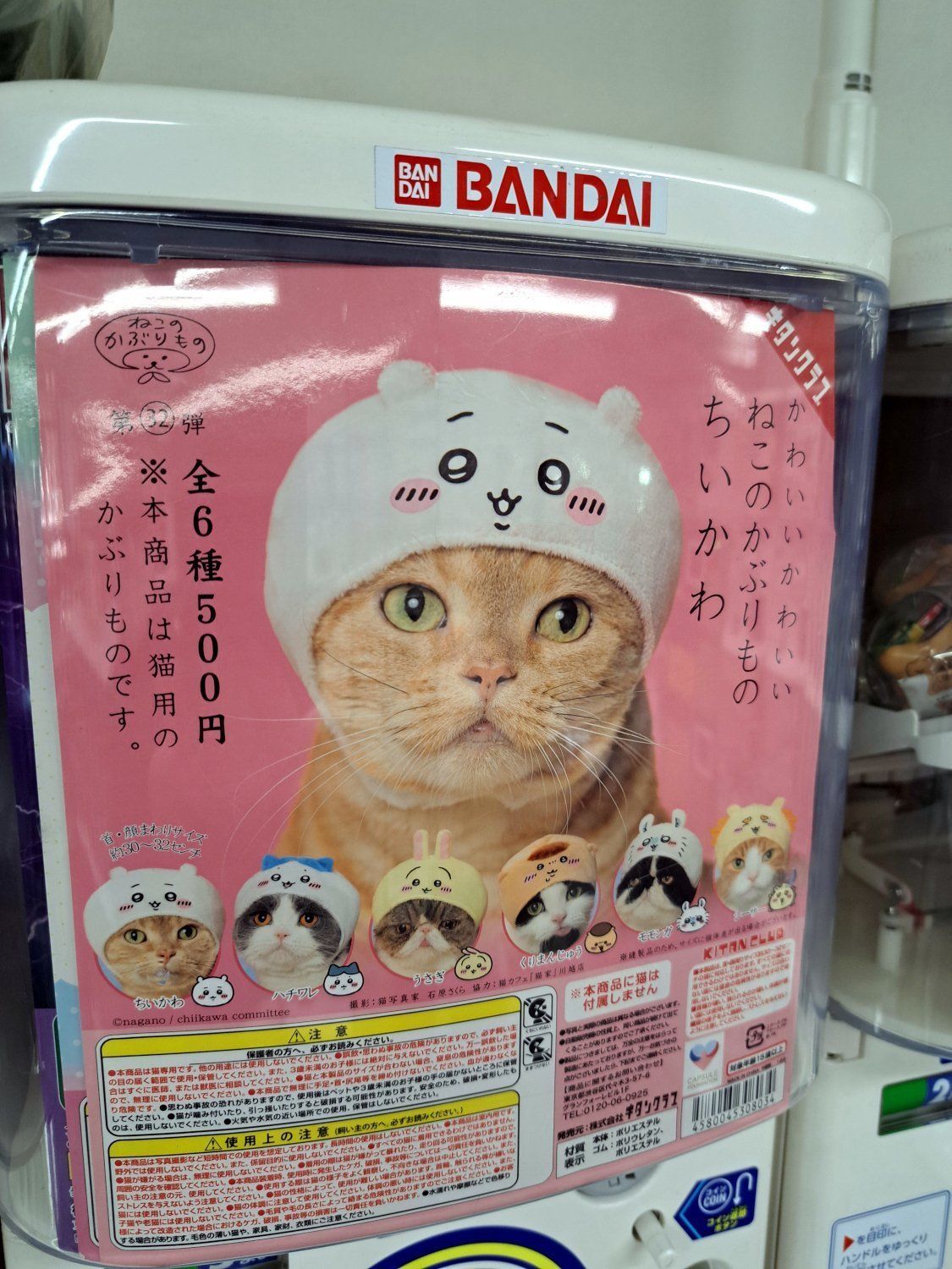 Cat hat