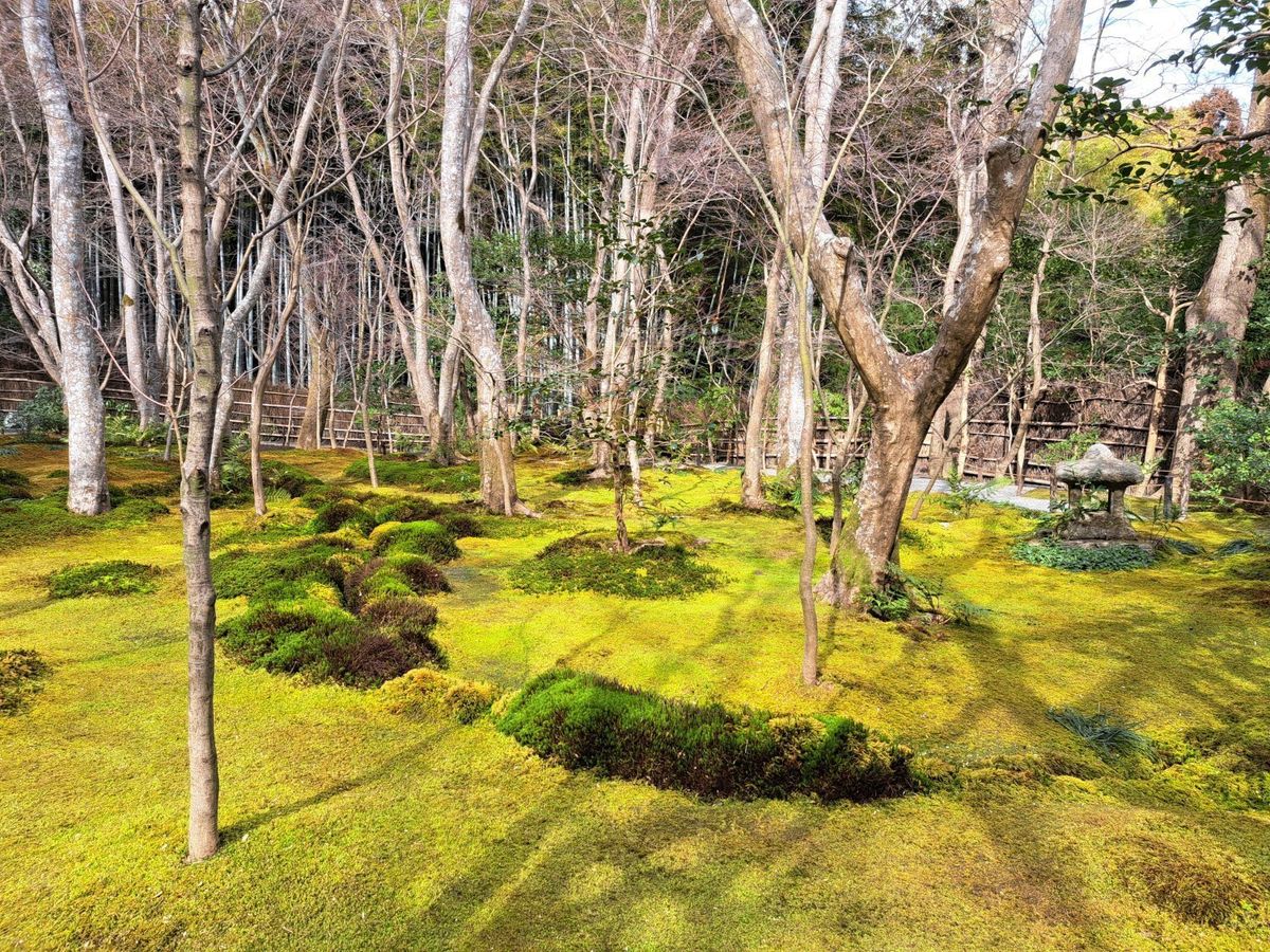 moss