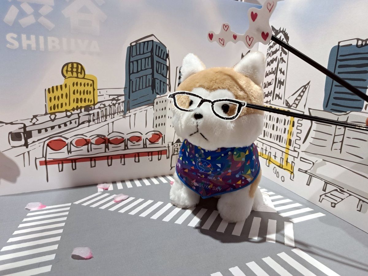 hachiko