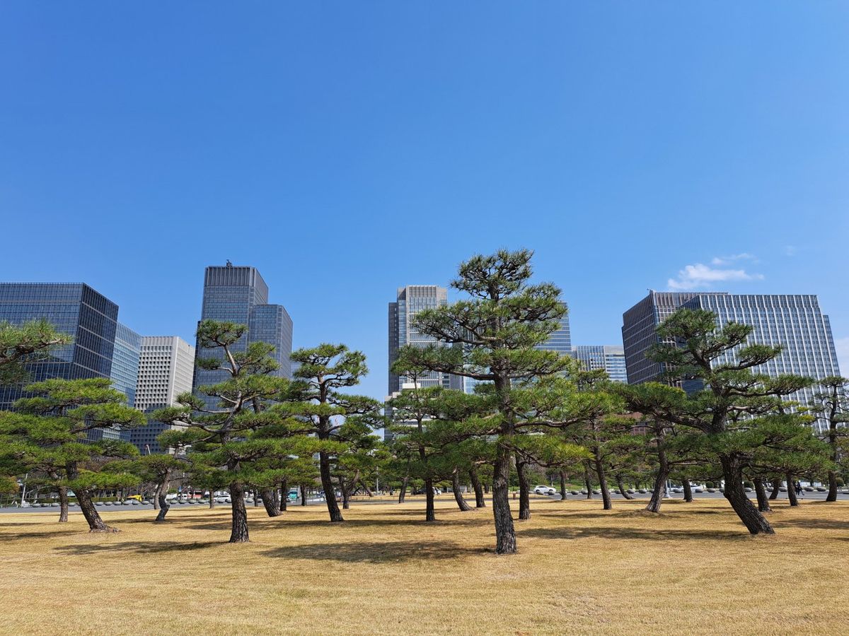 Tokyo
