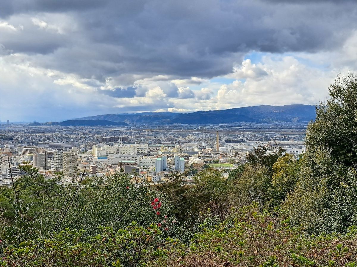 Uji