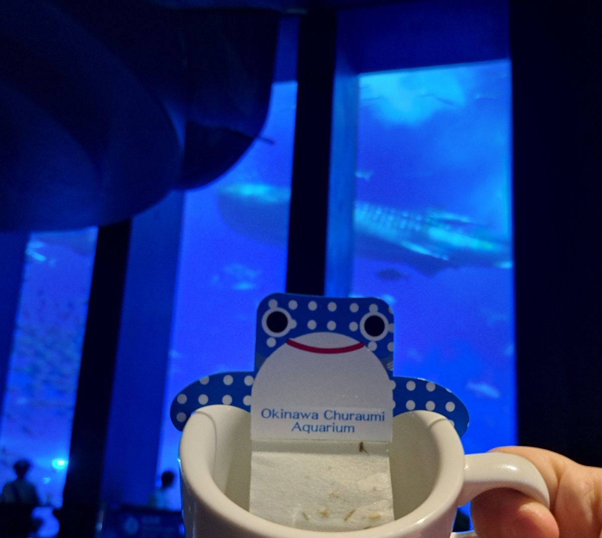 whaleshark