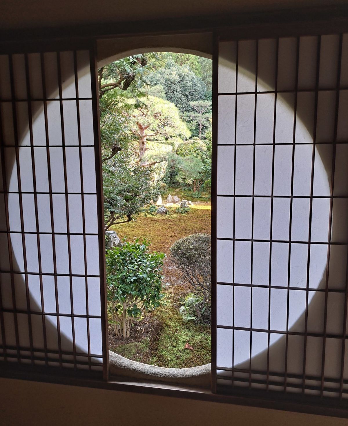 Window