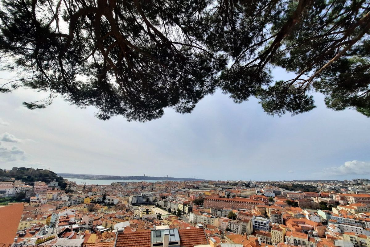 View1