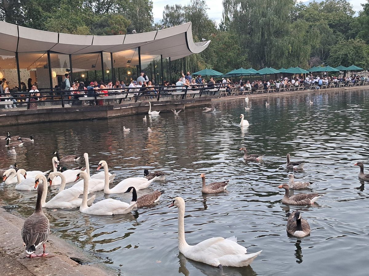 Hyde Park