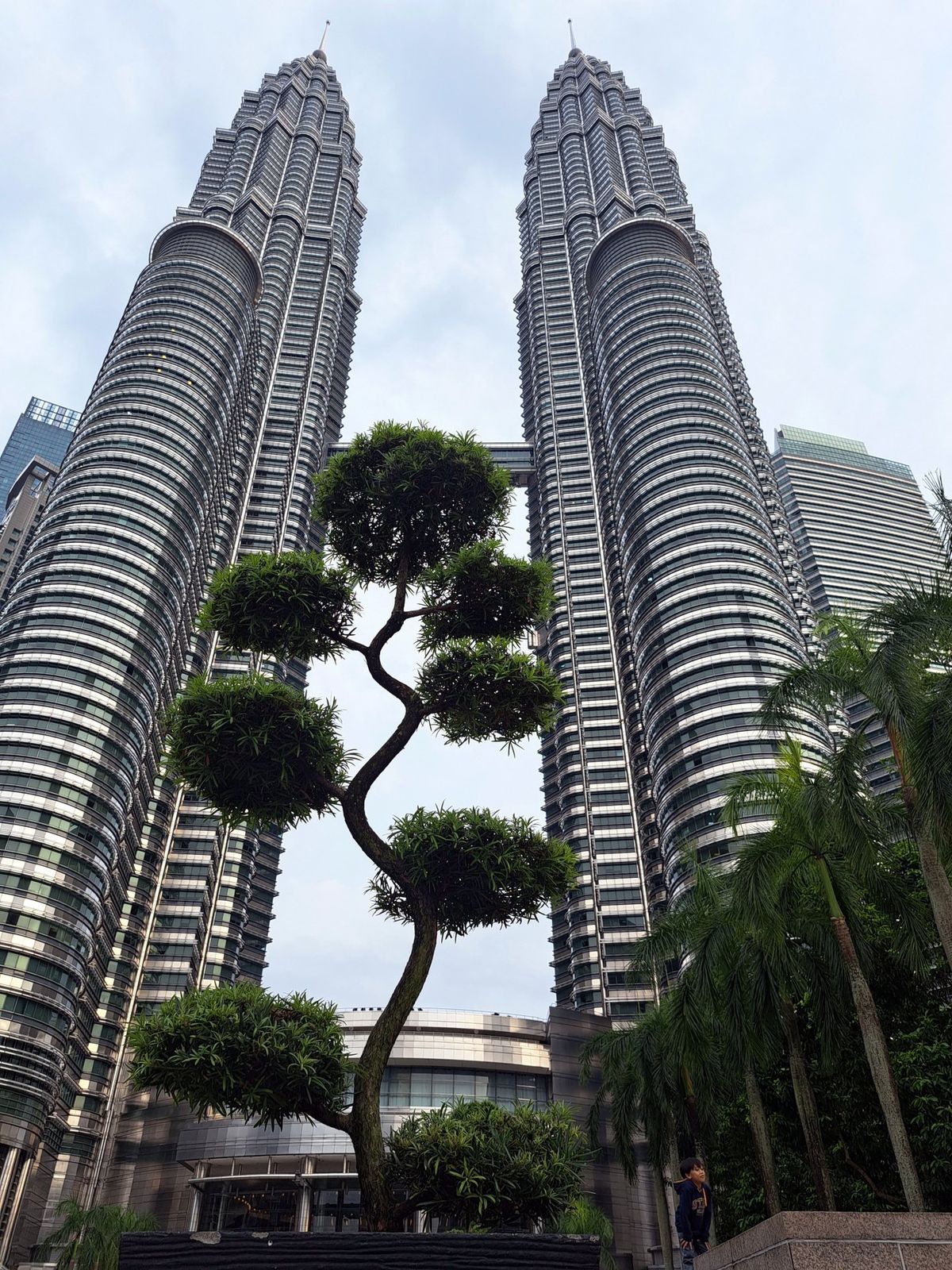 Petronas Towers