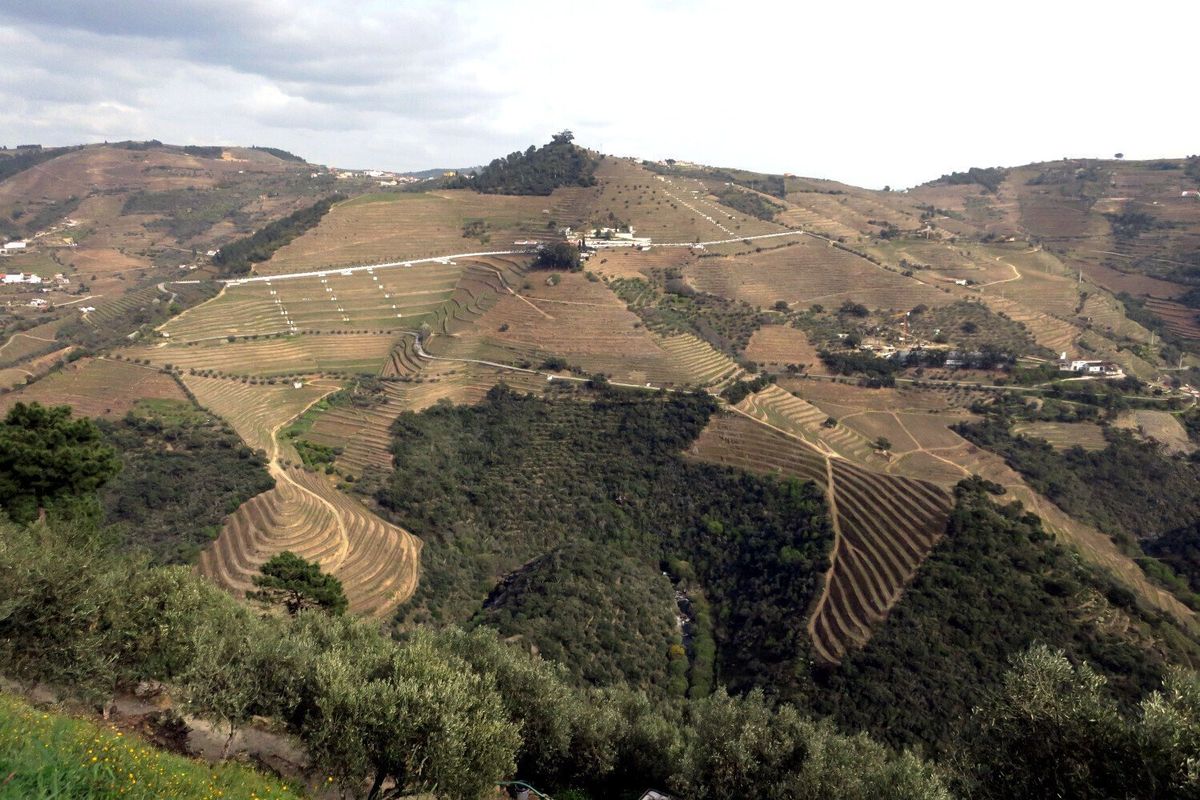 Douro Valley hills