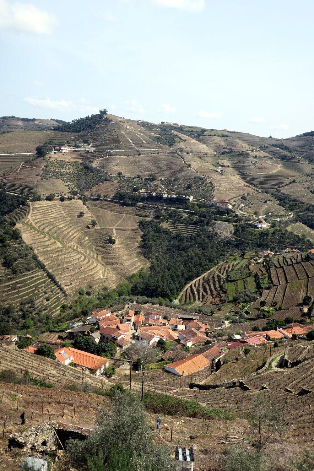 Douro Valley