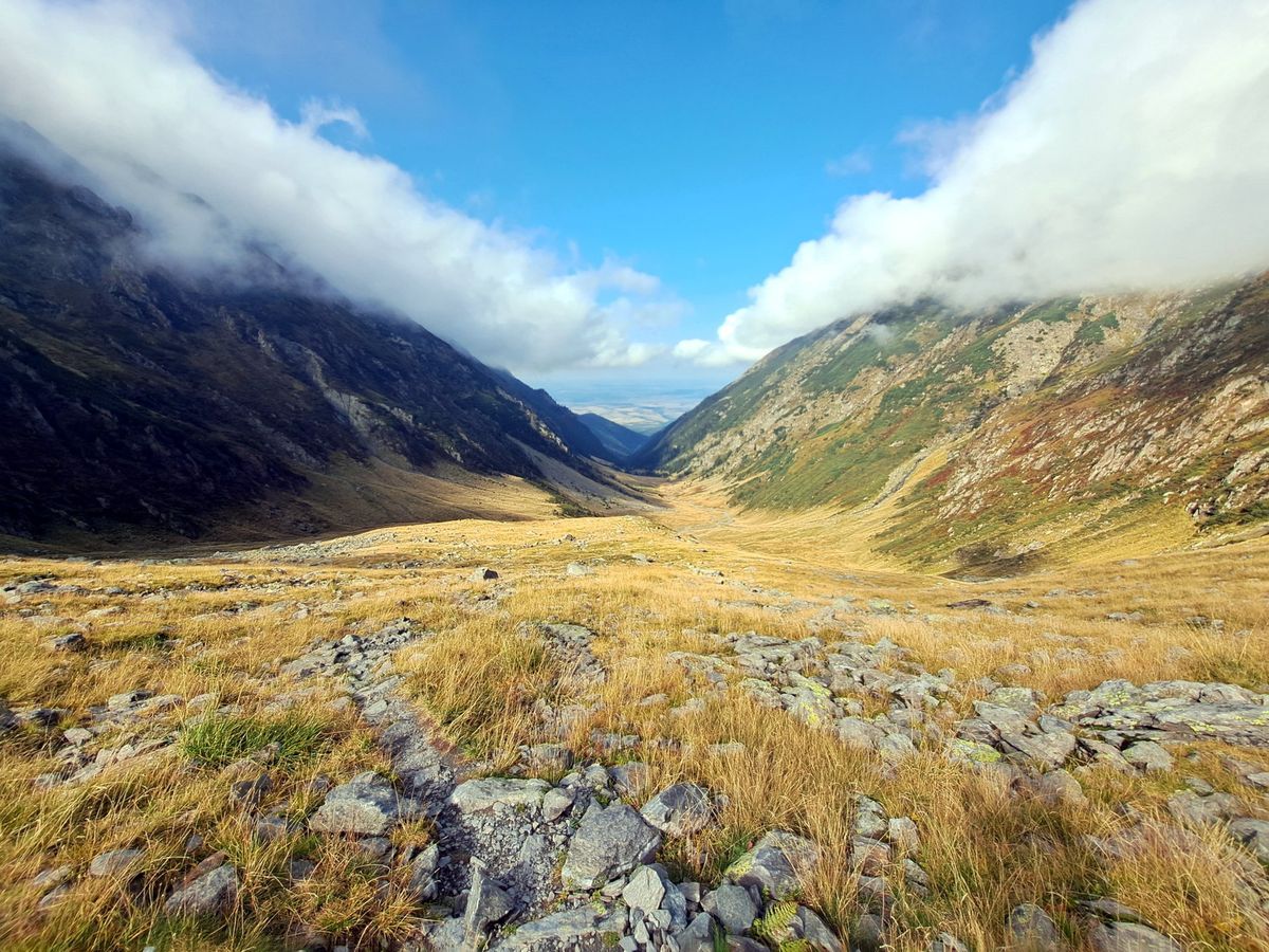 Mountains