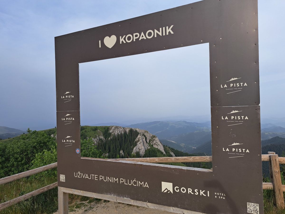 Kapaonik