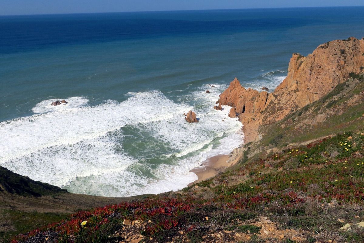Atlantic coast