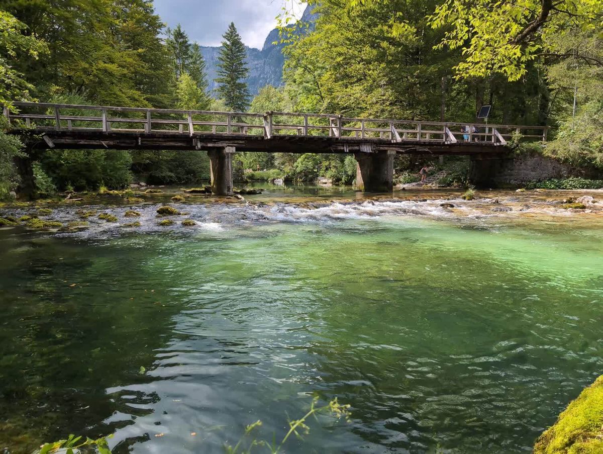 Green water