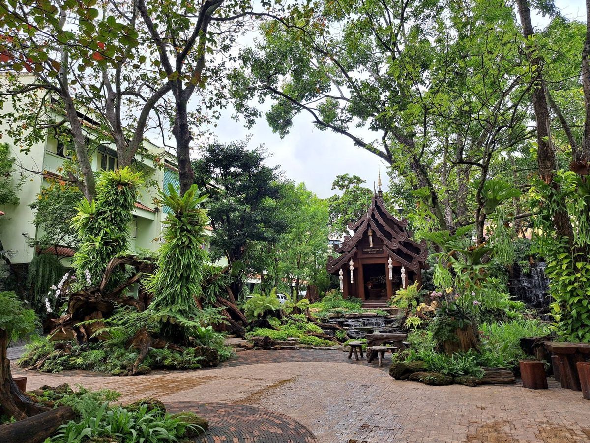 Green plants