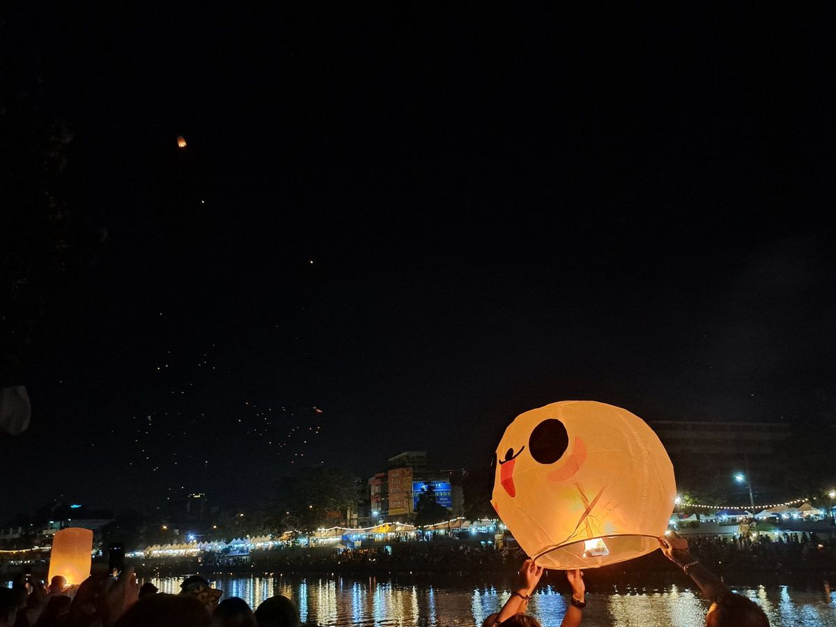 Panda lantern