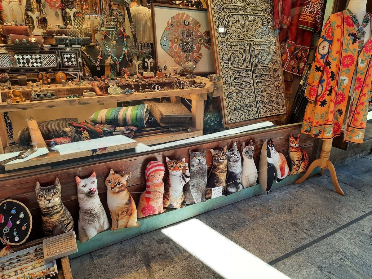 Cat pillows