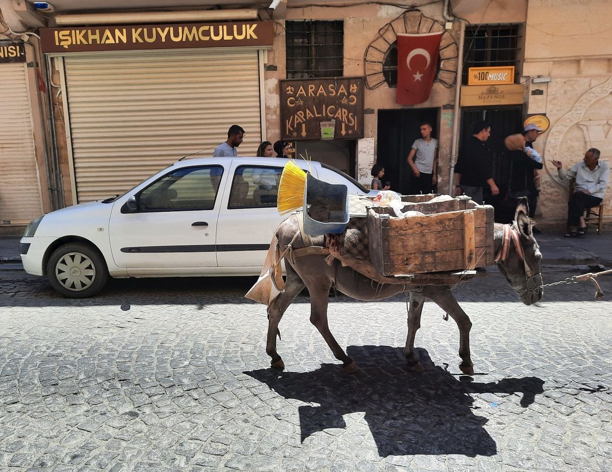 Street cleaner